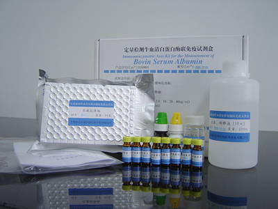 IL-1β檢測試劑價格與品牌對比 R&D、RB、IBI、Invitrogen進口/國產綜合分析